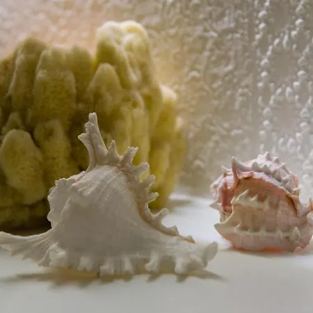 Apartment La Nassa &