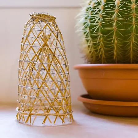 Apartment La Nassa &