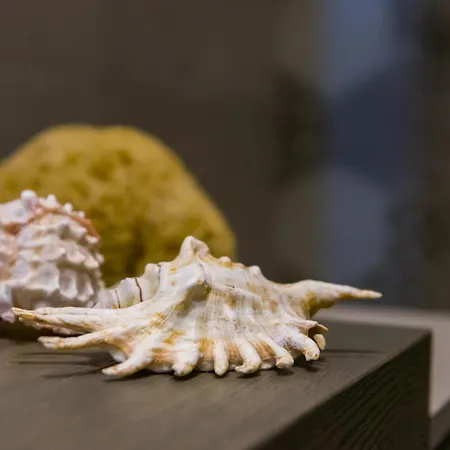 Apartment La Nassa & *